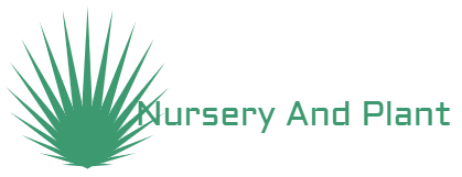 nurserynplant